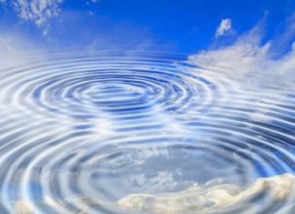 Le Conseil – En réponse à quelques questions – #18